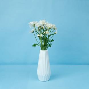 Mrida and Maati Mrida & Maati 8inch Flower Vase (Without Flower) Table vase for office and Home Plastic Vase