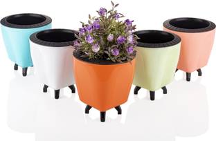 Dipzon villa Pack of 05 Self Watering Pot with Cup & String, Multicolor Plastic Vase