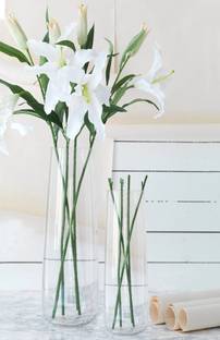 TIED RIBBONS Decorative Set Of 2 Glass Vase Without Flower For Home Décor Glass Vase