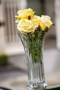 MDNSHO Long Glass vase / Glass vase Glass Flower Glass vase Decoration for Glass Vase