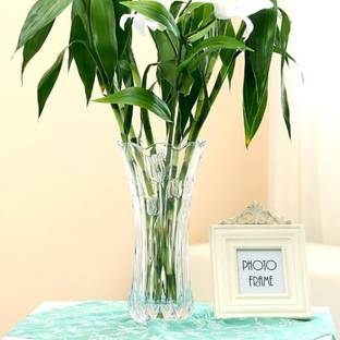 PURELYCART Glass vase Decoration for Home/Glass jar (7.5 inch, Clear) Glass Vase