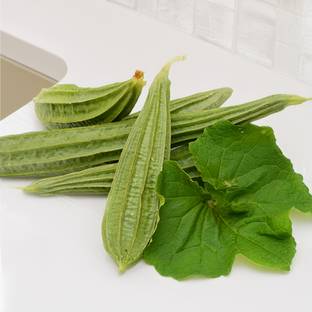 Ridge Gourd