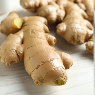 Ginger