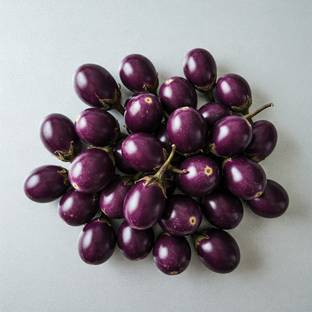 Brinjal Nagpur