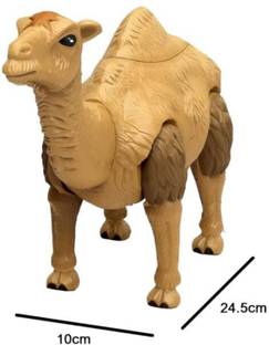 PARAM ENTERPRISE Musical Camel with Music (C-01)