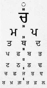 Bos Medicare Surgical Medical Eye Examination Chart, "PUNJABI", Optometric Eye Chart Vision Test Chart