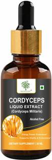 MAHOGANY Cordyceps Mushroom Liquid Extract- Boosts Energy and Stamina