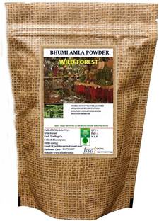 WILD FOREST BHUMI AMLA (Phyllanthus niruri ) POWDER 100 GM