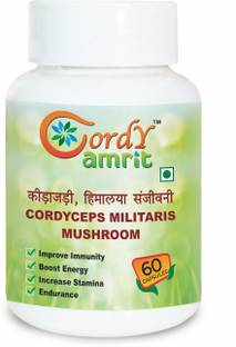 CORDY AMRIT Cordyceps Militaris(keedajadi) Capsules