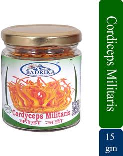 Badrika Keeda Jadi (Cordiceps Militaris) | Super Food for Energy, Immunity and Stamina