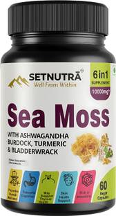 SETNUTRA Sea Moss with Ashwagandha Burdock, Turmeric & Bladderwrack