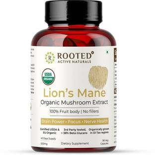 ROOTED Lions Mane mushroom Extract Capsules (500 mg) | Memory, Brain & Nerve Health