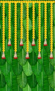 coolistic Banana Leaf Design Backdrop Decoration Pooja Cloth (8*5 Feet)