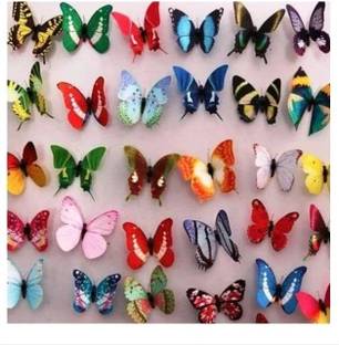 Indian Royals Multi Color 3D Butterfly Home Décor Self Adhesive Pack of 24