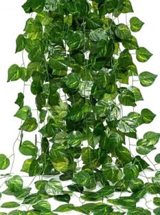 firstbuy GREEN MONEY PLANT BELL SET OF 4 Pack of 4