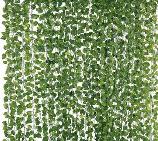 suukoon handmates Money plant strings for home and garden decoration Pack of 2