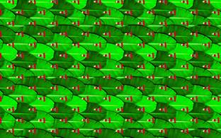BXA BACK DROP FOR DECORATION
