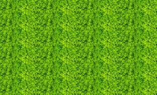 coolistic Green Graas With Hanging Decoration Backdrop(5FTX8FT) Altar Cloth