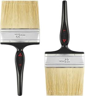 Spartan Paint Brush with Multicolour Handle set of 2 ( 125 MM) 6 inch Natural Wall Paint Brush