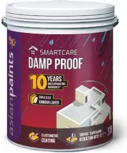 Asian Paints Damp Proof For Terrace Waterproofing [20L - PACK OF 1] WHITE Emulsion Wall Paint