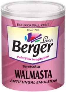 Berger Walmasta Antifungal Terracotta Emulsion Wall Paint