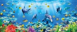 Imagine Printing Solutions Vinyl Art & Paintings Multicolor Wallpaper