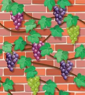 JAAMSO ROYALS 120 cm Nature Design Wall Paper Sticker Removable Sticker