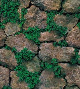 Medbay Architecture Green Wallpaper