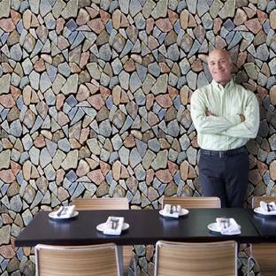 Wallgenics Decorative Multicolor Wallpaper