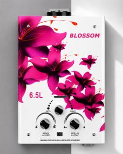 BLOSSOM Instant Gas Water Heater with Winter/Summer Mode | Flame & Water Flow Control 6.5 L Gas Water ...