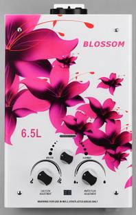 BLOSSOM Instant Gas Water Heater with Winter/Summer Mode | Flame & Water Flow Control 6.5 L Gas Water ...