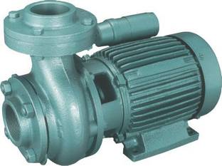 sprudel 1 HP MONOBLOCK PUMPSET 2525-010 Centrifugal Water Pump