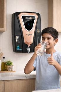 Natures Regal DIG+ Aqua Copper RO Water Purifier with Metallic Body for Home & Kitchen 13 L RO + UV + ...