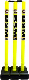 BSM HARD PLASTIC STUMP SET WITH CLEAR BAG