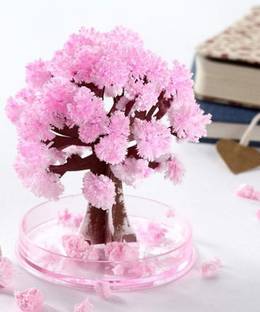 QUACE DIY Magic Tree Miniature Christmas Tree Pack of 1