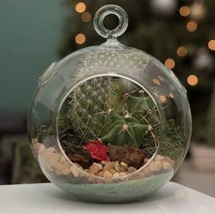 Happishades Acrylic Hanging Globe, 3.5 Inch Clear Ball Fillable Decorative Spheres Hanging Ornaments Pack of 2