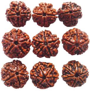 SHIVOHAM Original Nepal 6 mukhi, 5 mukhi, 4 mukhi Rudraksha (9 pieces) Wooden Yantra