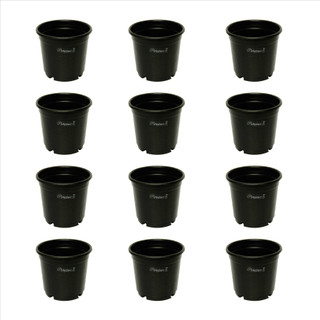 Planters Black Nursery Plastic Pot 6" (Pack of 12) Plant Container Set  (Pack of 12, Plastic)