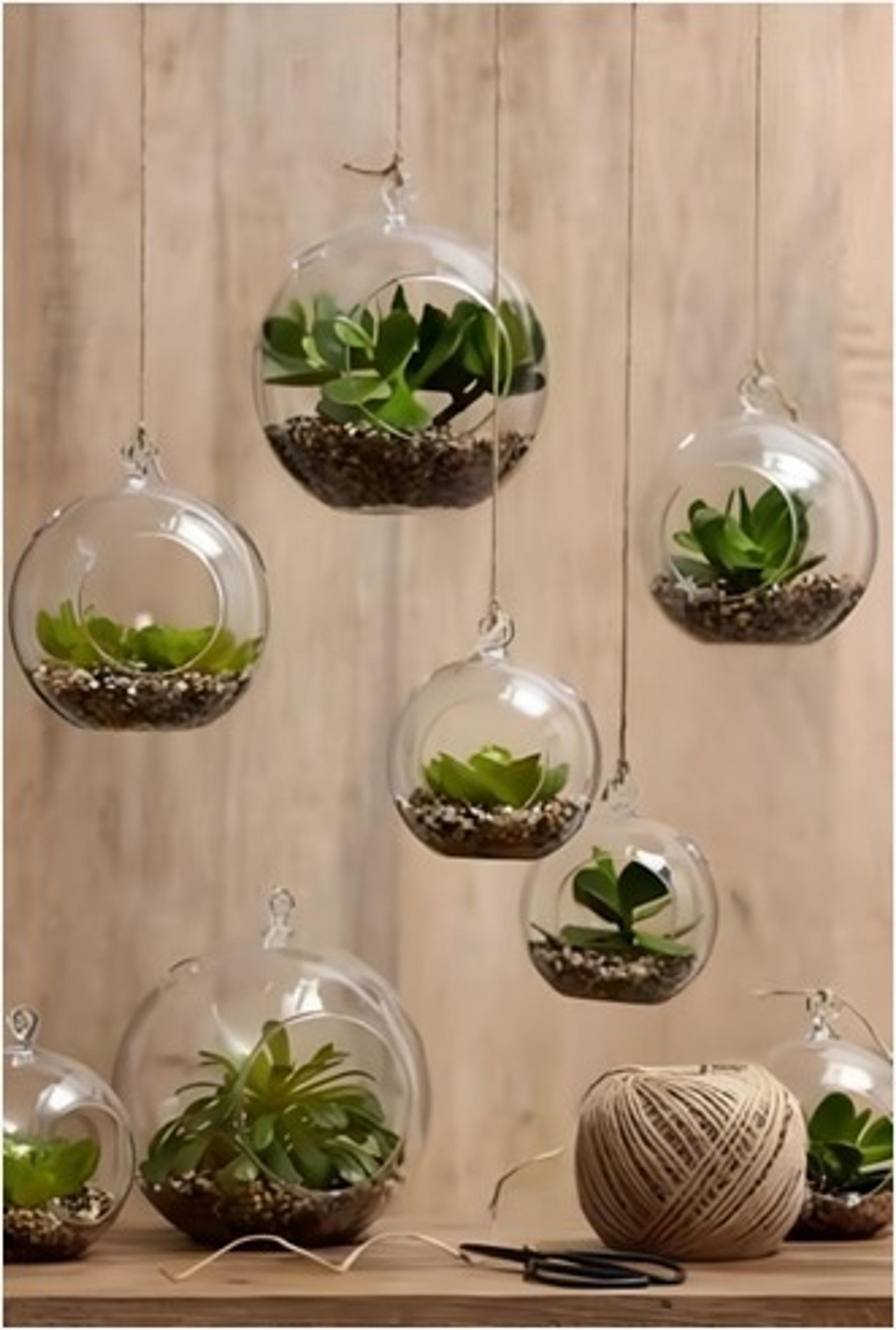 Desk Plant Terrarium Set