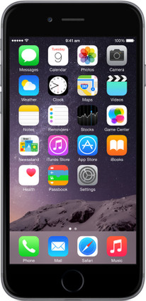 iPhone 6 Space Gray 16 GB docomo（Apple iPhone 6 ( 16 GB