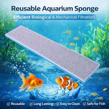 fish accessories online india SunSun ATS-220 Desktop Betta Tank Kit Royal Aquarium  Buy Aquarium