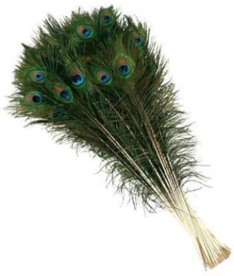 Natural Peacock Feathers. Long Dark Green Peacock Bird Feathers. Green  Feathers for Hats. Peacock Feathers for Wedding Decorations 