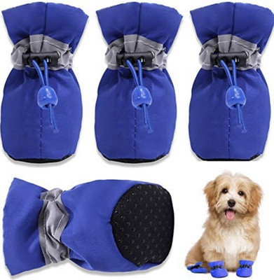 Kutkut Dog Apparels Buy Kutkut Dog Apparels Online at Best Prices In India Flipkart