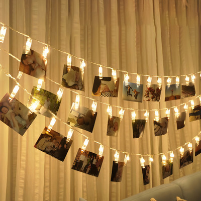 Euro Lights Rice Lights Buy Euro Lights Rice Lights Online at