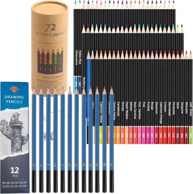 Radesh Colored Charcoal Pencils for Drawing Sketching Round  Color Pencils Shaped Color Pencils 