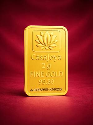 CASAJOYA CJ-24K-COIN-2G 24 (995) K 2 g Gold Bar