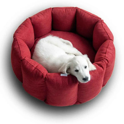 Glass Pet Beds Buy Glass Pet Beds Online at Best Prices In India Flipkart
