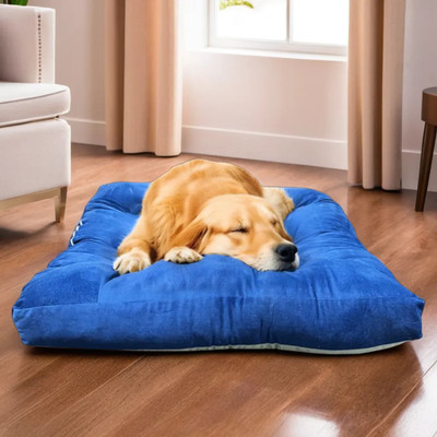 Dog bed online flipkart discount