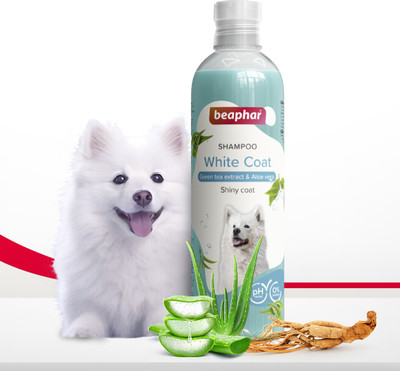 Dog shampoo flipkart shop