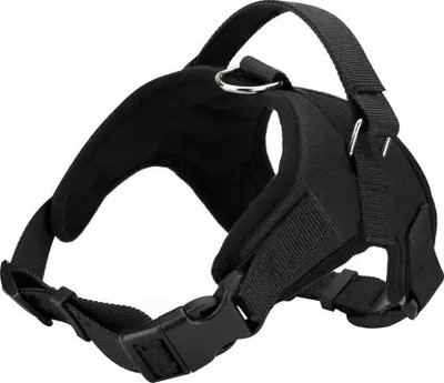 Dog Collars Buy Dog Belts Online at Best Prices In India Flipkart